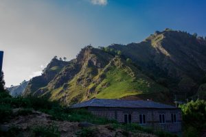 Photo nature friendly house