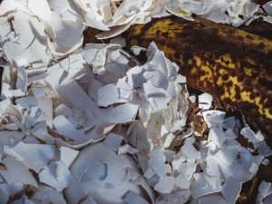 Photo composting for beginners