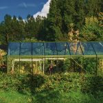 image of sustainable greenhouse