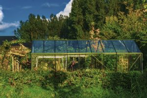 image of sustainable greenhouse