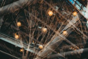 Photo LED light bulbs