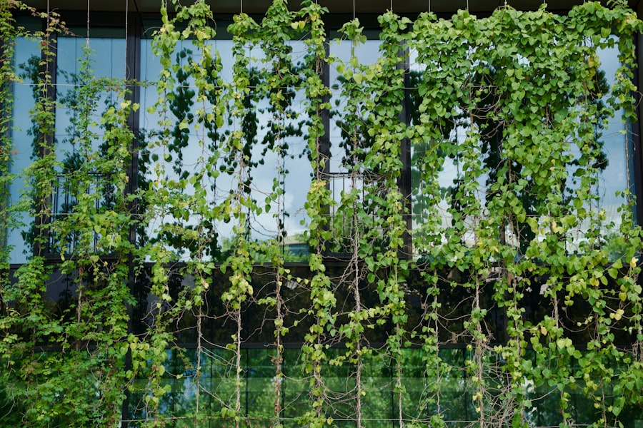 Photo Vertical garden