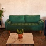 Photo green living