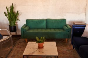 Photo green living