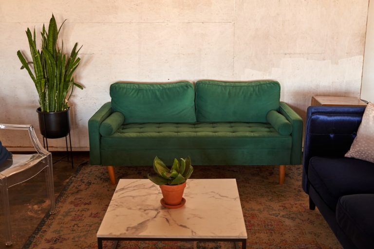 Photo green living