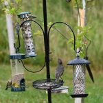 Photo Bird feeder