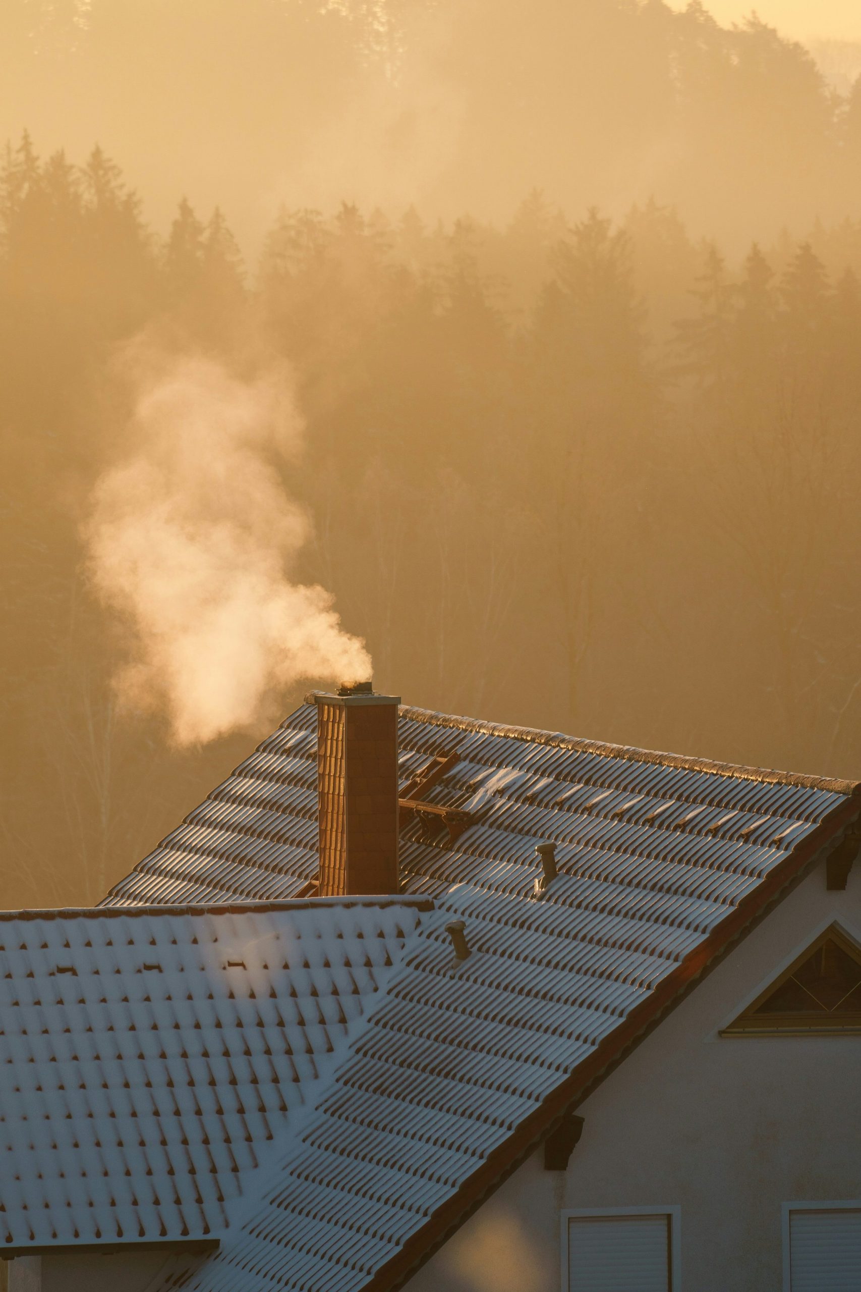 house roof with chimney