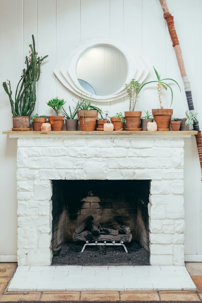 A healthy spider plant (Chlorophytum comosum) with long, arching green and white striped leaves displayed in a white pot decorated with bold black polka dots. The plant sits on a dark wooden stool against a neutral wall, creating a simple yet stylish indoor decor look. Ideal for illustrating topics on houseplants, interior styling, or air-purifying plants.